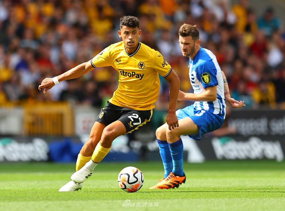 打下了坚实 打下了坚实